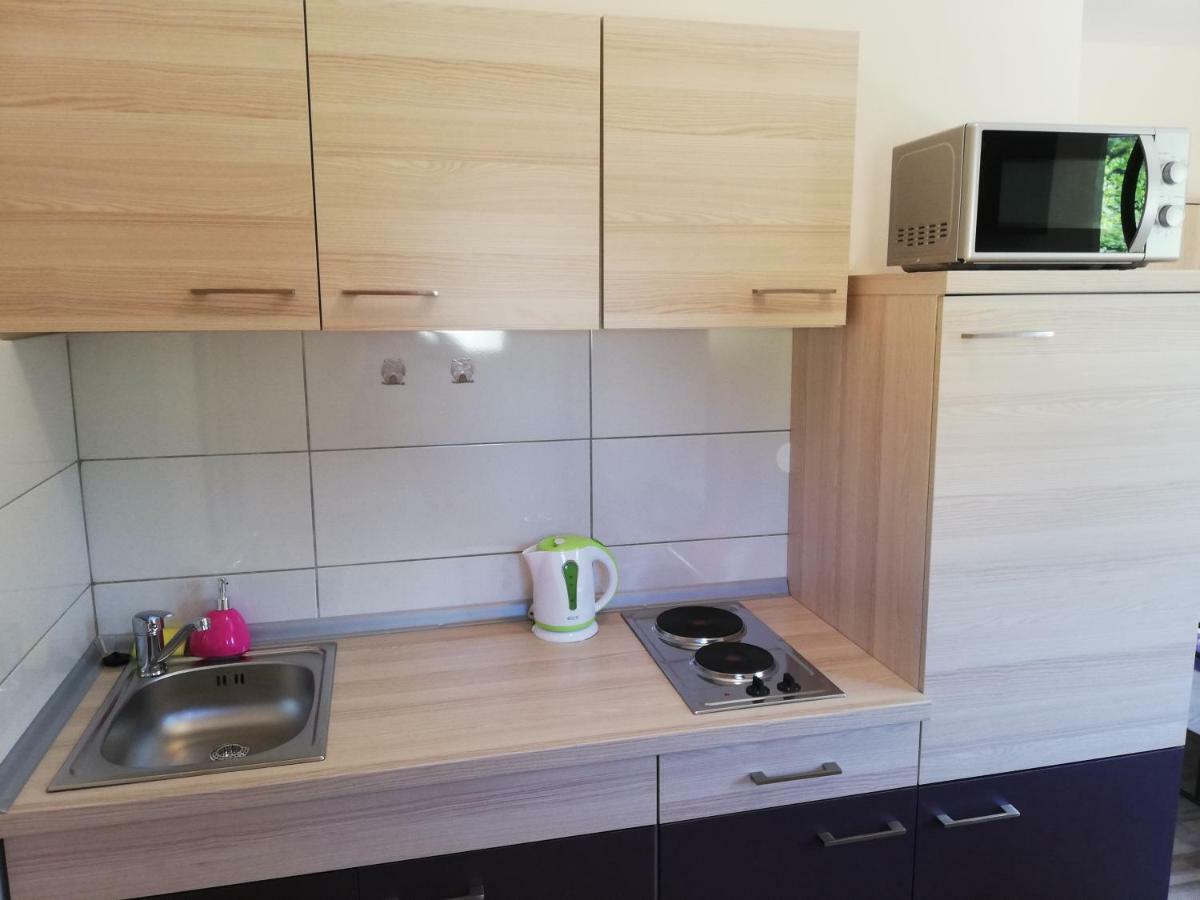 Studio Apartment Palmira Ližnjan Exterior foto